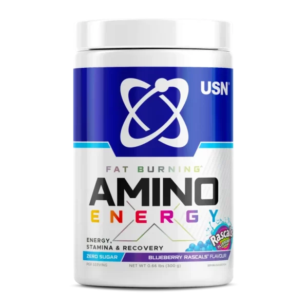 چربی سوز آمینو ایکس یو اس ان USN Amino X Fat Burn